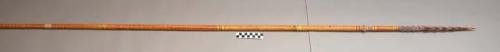 Wooden king spear - short barbs, elaborate painting on point, shaft +