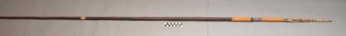 Wooden king spear - barbs; elaborate painting on point; bands of red +