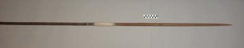 Dark wood fighting spear with white band and bamboo butt stop