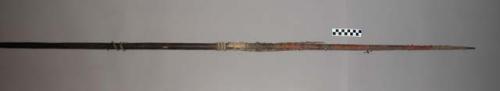 Long barbed wooden spear with short section of cane at tip of handle