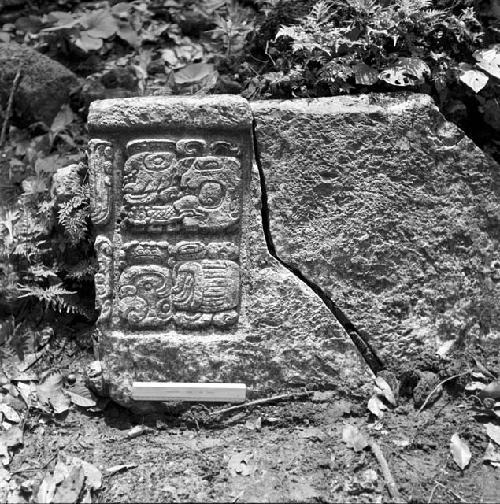 Tablet from Hieroglyphic step at Seibal