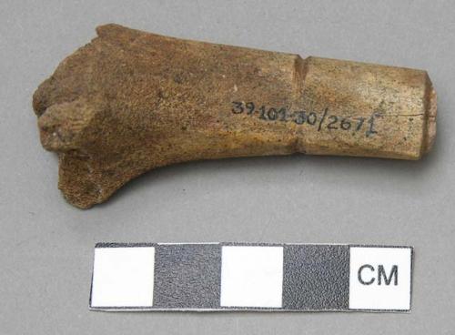 Circularly incised llama bone