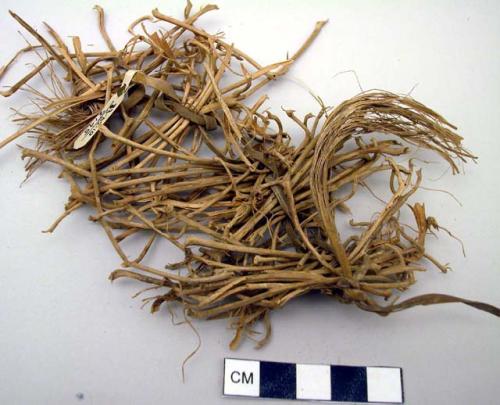 Dried herbs, tied with yucca