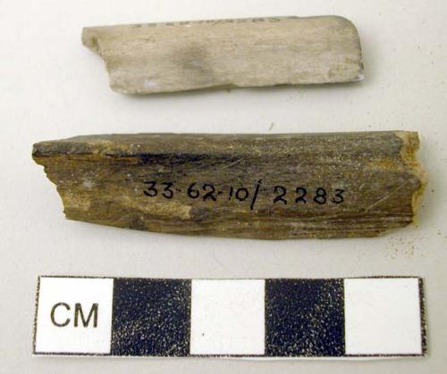 Fragments of burned bone