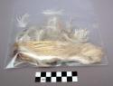 Feathers, bundle of white feathers, some loose