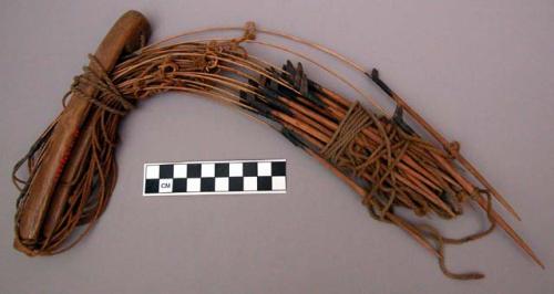 Set of bird snares used in catching wild jungle-fowl alive