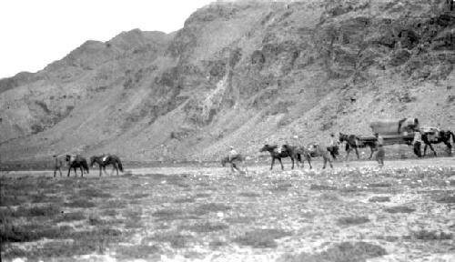 People and horses walking by mountains