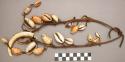 Necklace with cowries, boar's tusk