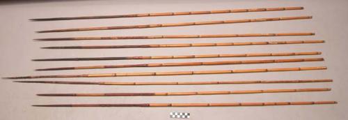 Bone-pointed arrows