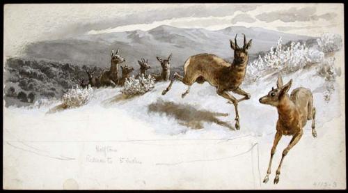 hunting, deer / roe deer / chamois, North American Indian hunting