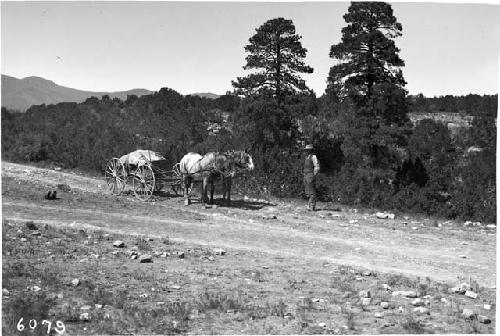 Crew Member With Horse Cart