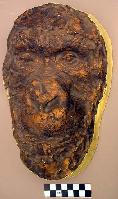 Cast of Gorilla gorilla