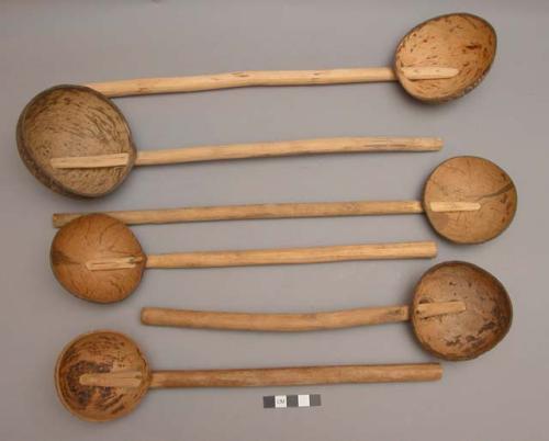 Coconut ladles