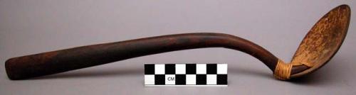 Coconut shell ladle