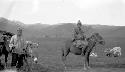 Person on a pony, donkey and sheep near by