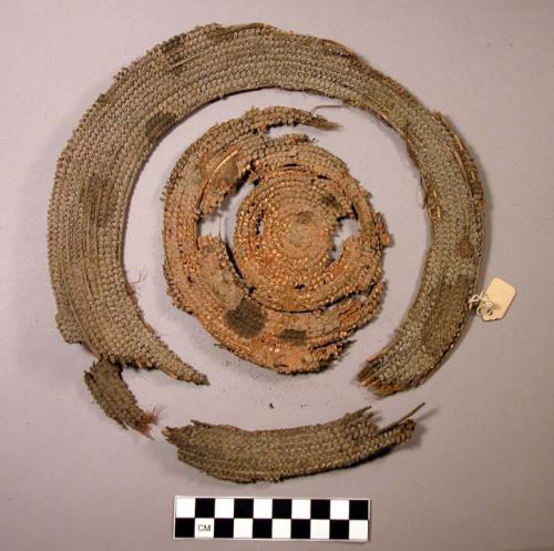 Fragments of coiled basket