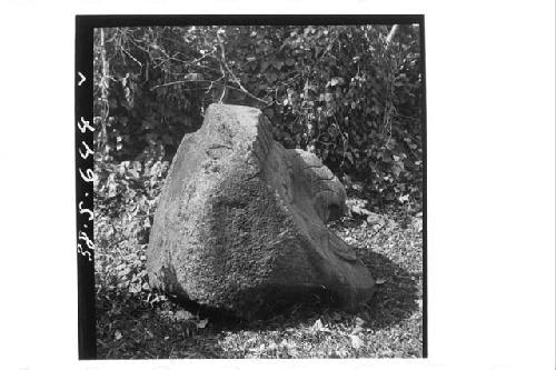 Large monolithic stone head (right profile)