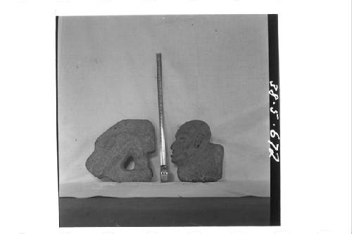 One stone animal head (flat); one stone human head (flat)