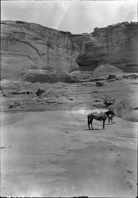 Canyon de Chelly and Canyon del Muerto