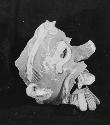 Large effigy ceuser head, old man God (A-188), in profile, see p. 56A-11-37,