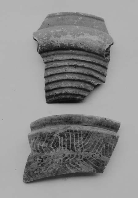 Bowl sherds, 1 probably, 1 surely Usulutan (2)