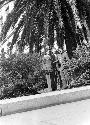 Men posing in front of tree