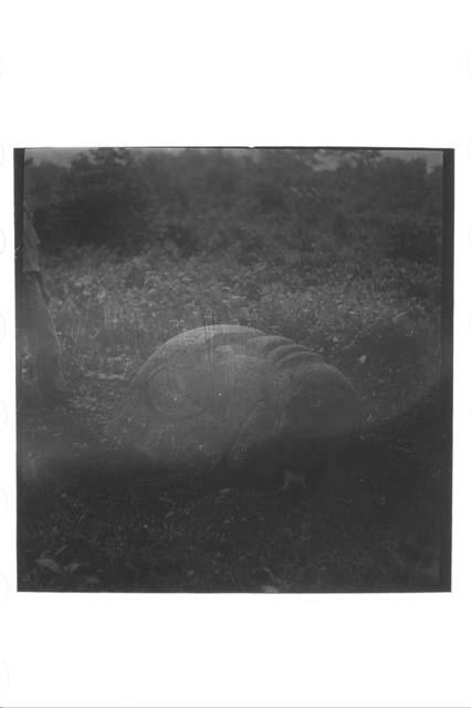 Carved monolithic stone head