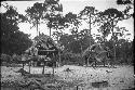 Seminole Village