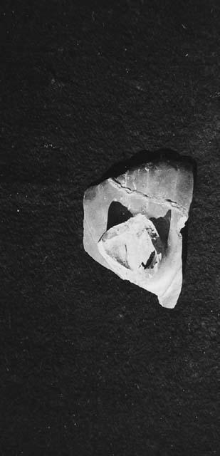 2 Tohil Plumbate fragments a: Brainerd Chichen Itza, jar body with stucco