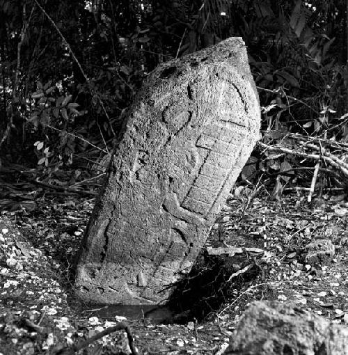 Stela 17 at Machaquila