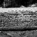 Detail of Stela 2 at Machaquila