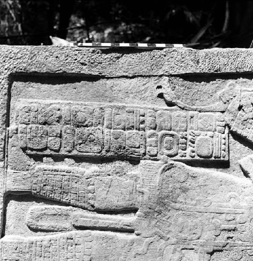 Detail of Stela 3 at Machaquila