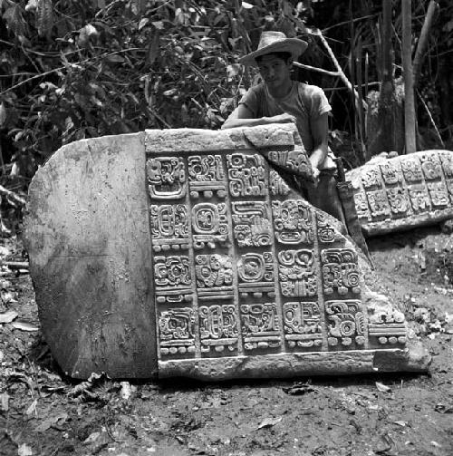 Fragment of Stela 8 at Dos Pilas