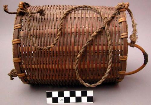 Basket for carrying tame decoy fowl