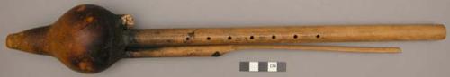 Flute