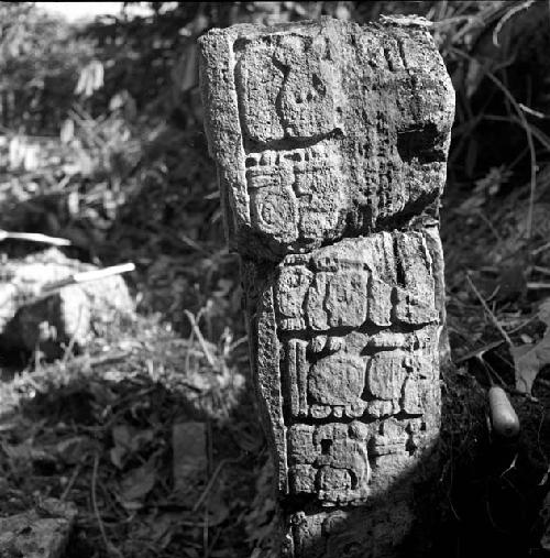 Stela at Tamarindito