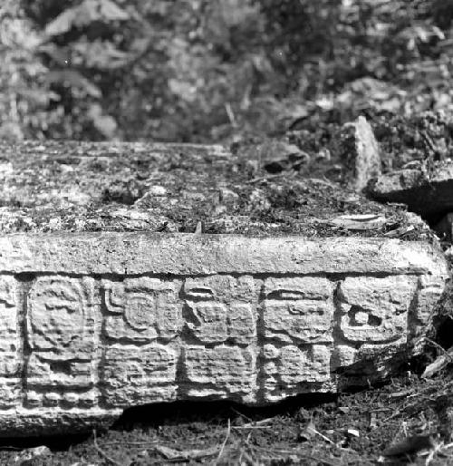 Stela at Tamarindito