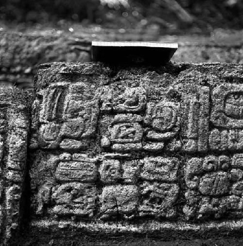 Hieroglyphic step at Tamarindito