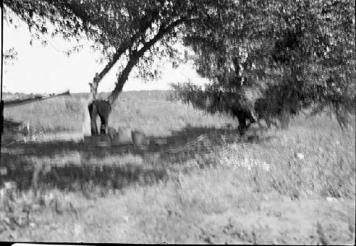 Crew Member Having Lunch Under Tree