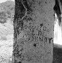 Charnay's graffito at Palenque