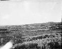 Landscape With Mounds