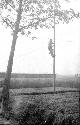 Man working on powerlines