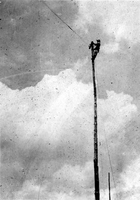 Man working on powerlines