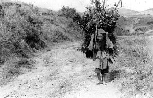 Person carrying bundle of wood