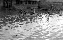 Men paddling a raft