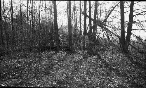 Lipe mound -- from West and North