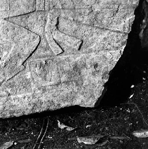 Detail of Stela 5 from Machaquila