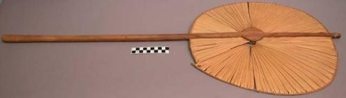 Ordinary palm leaf priest's fan - part of his equipment