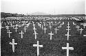 Cemetary with white crosses for gravemarkers