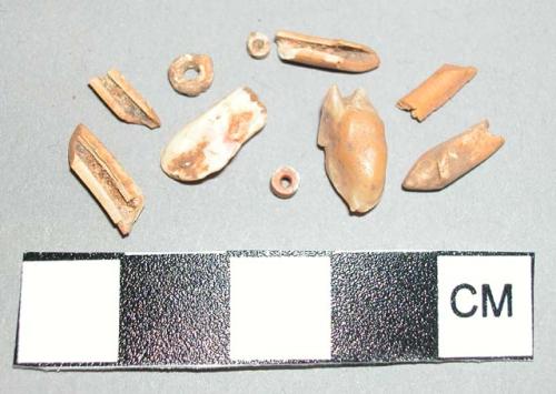 Beads and bone fragments